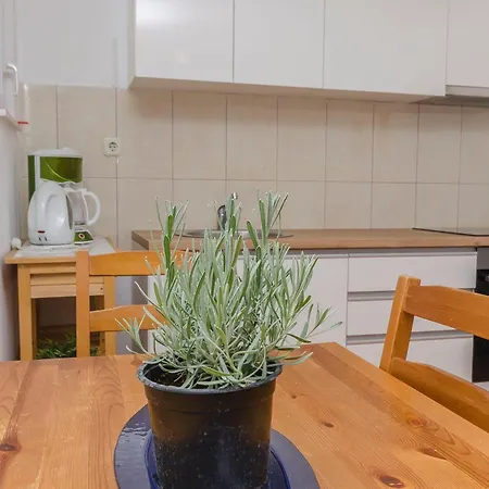 Apartments Amina Vodice